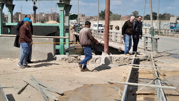 محافظ الشرقية