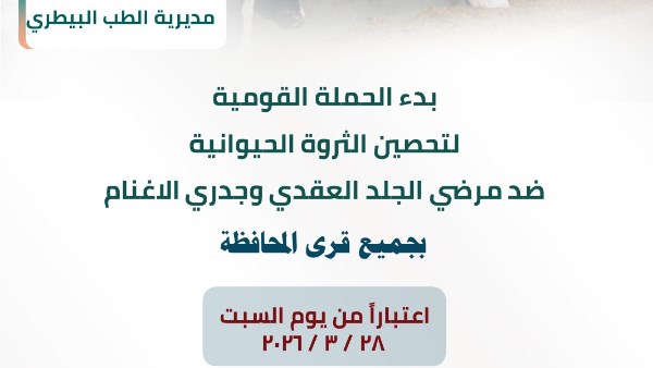 السبت.. حملة قومية لتحصين الماشية ضد الجلد العقدي وجدرى الأغنام بالشرقية