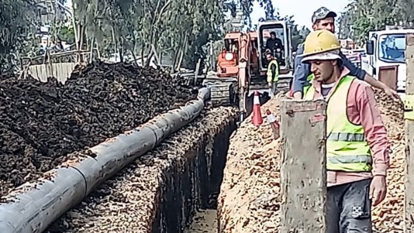 جانب من الأعمال 