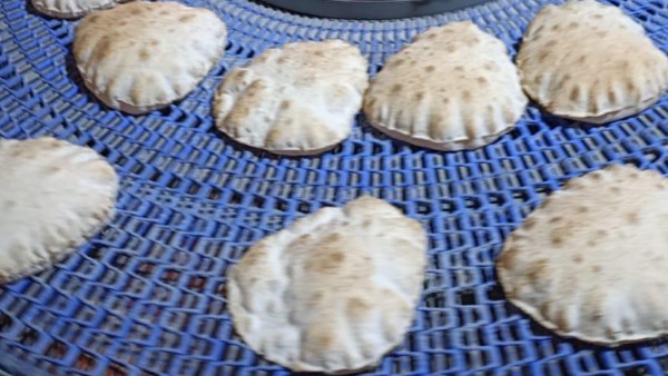 تحرير 155 محضرًا ضد المخابز وضبط طن أسماك مدخنة ومجمدة بكفر الشيخ