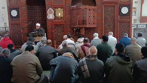 جانب من الفعاليات 