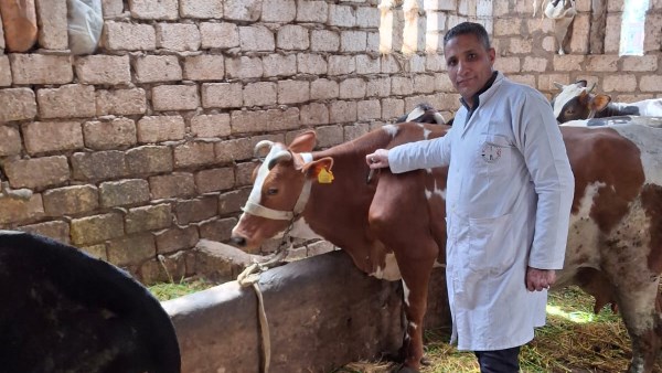 حملات التحصين 