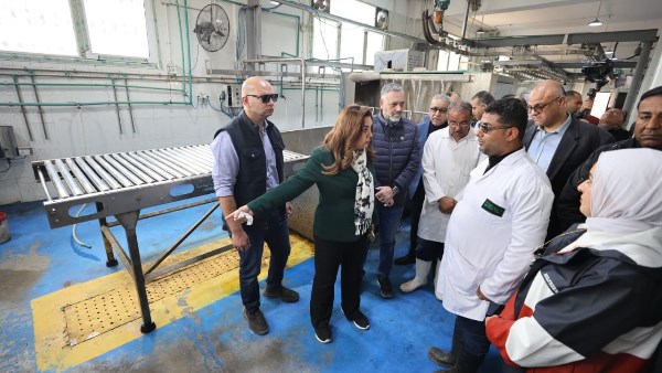 جولة وزيرة التنمية المحلية والبيئة بالإسكندرية 