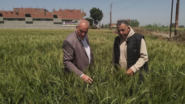 وزارة الزراعة