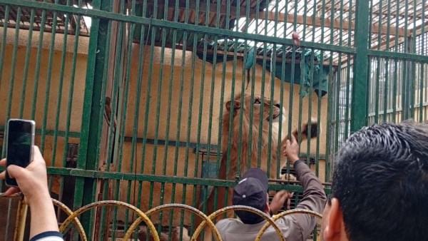 حديقة الحيوان بالمحافظات 