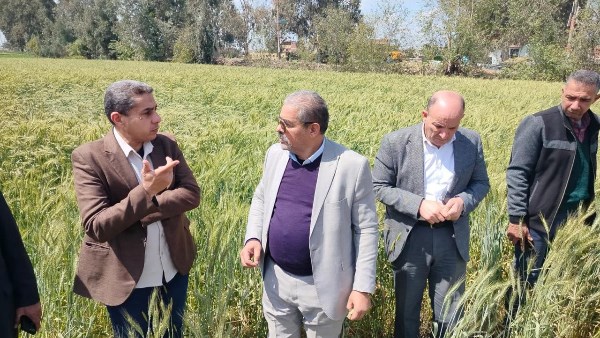 الحكومة تطمئن المواطنين: القمح متوفر والخبز مستقر..فيديو