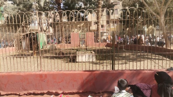 حديقة الحيوان 