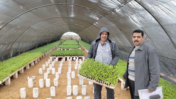 زراعة الصوب