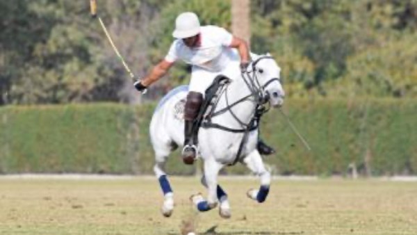 رياضة البولو