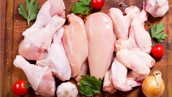 اسعار الدواجن اليوم