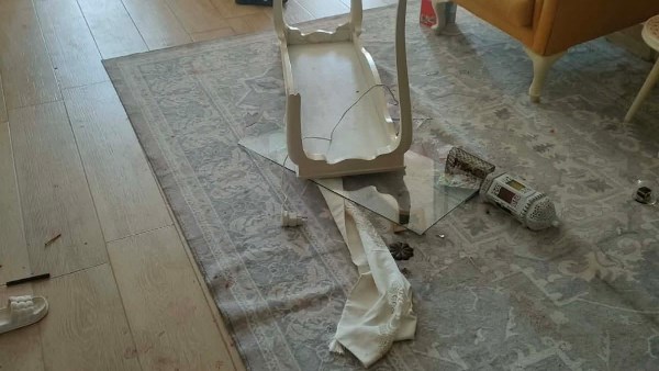 جريمة الدقهلية