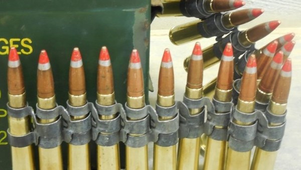 ذخائر حيوية 