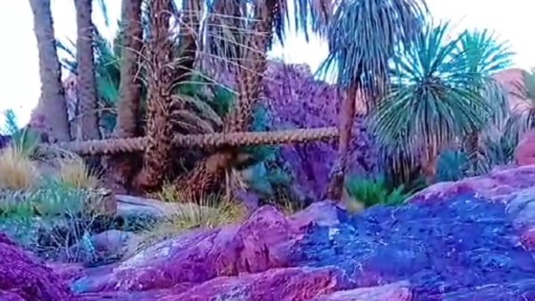 سيل المياه على الصخور الملونة بوادي غربة 