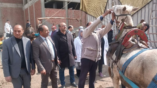 قافلة بيطريه 