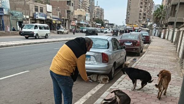 حملات تطعيم 