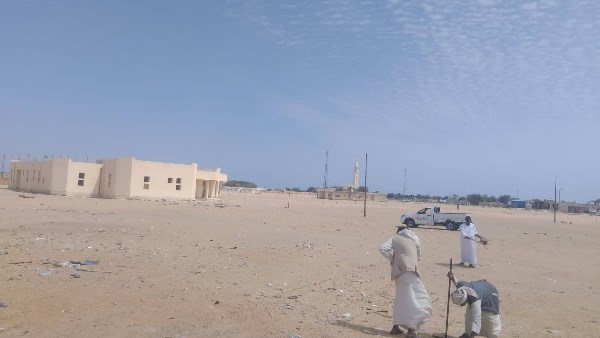 صورة موضوعية