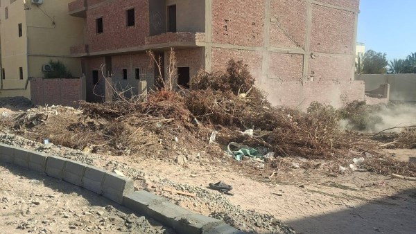 صورة موضوعية