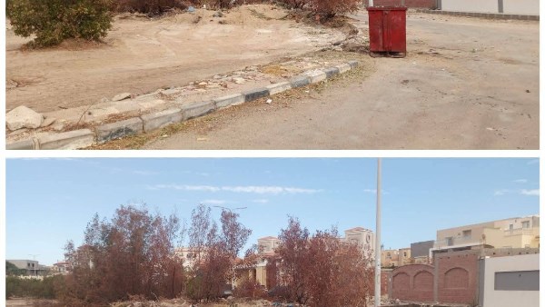 صورة موضوعية