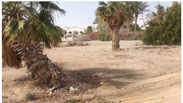 صورة موضوعية