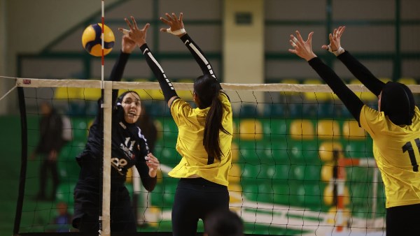 الكرة الطائرة