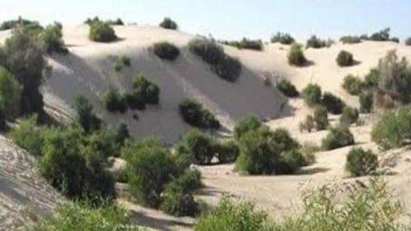 محمية الاحراش 