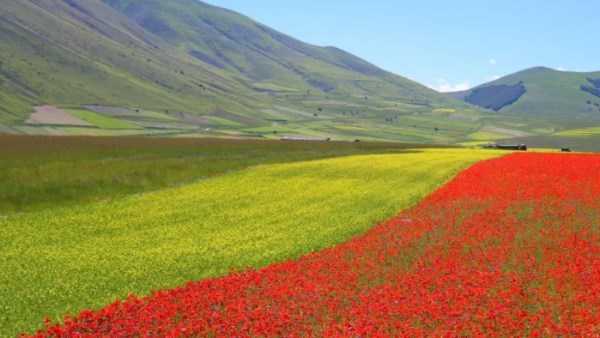 حماية الطبيعة