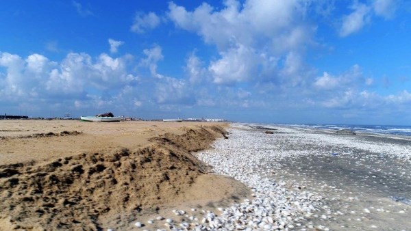 “تعزيز التكيف مع تغير المناخ في دلتا نهر النيل