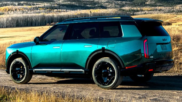 كيا تيلورايد 