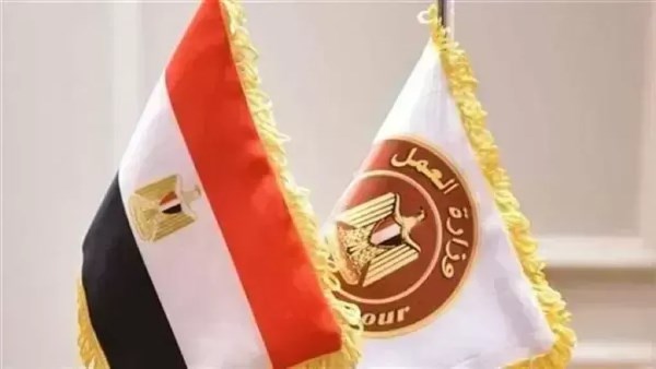 فرص عمل جديدة 