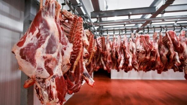 أسعار اللحوم اليوم 