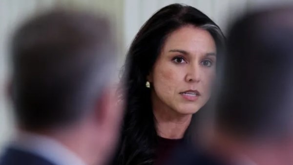 تولسي جابارد