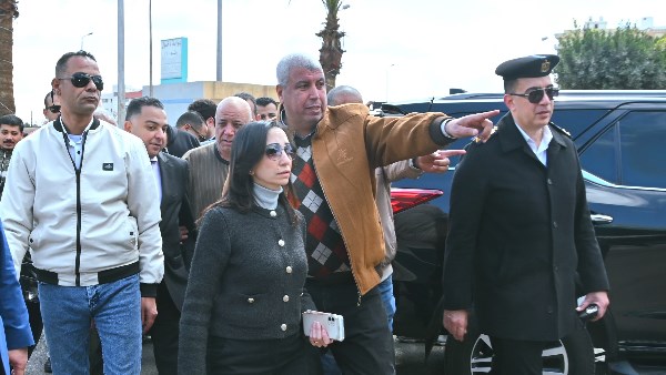 محافظ البحيرة