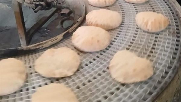 محافظ البحيرة