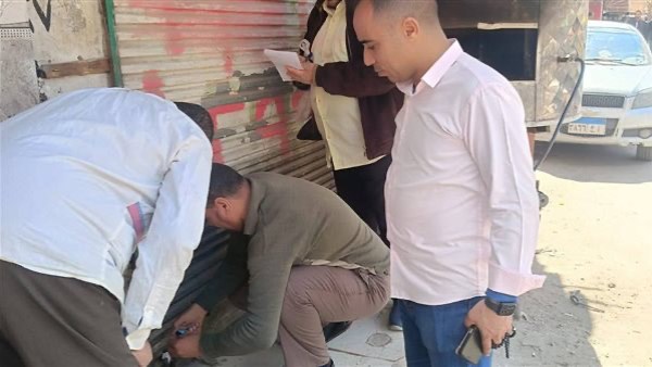 محافظ البحيرة