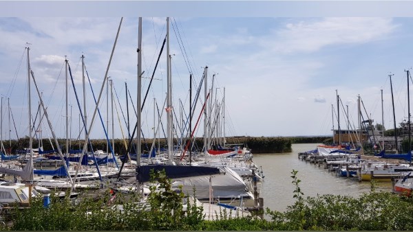 ارتفاع معدل التضخم في النمسا إلى 2.3% على أساس سنوي