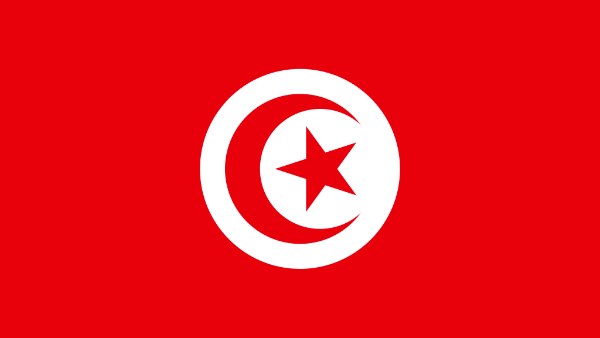 شبكة "بريكس": تونس تسعى لتجديد أسطول النقل بحافلات جديدة من الصين