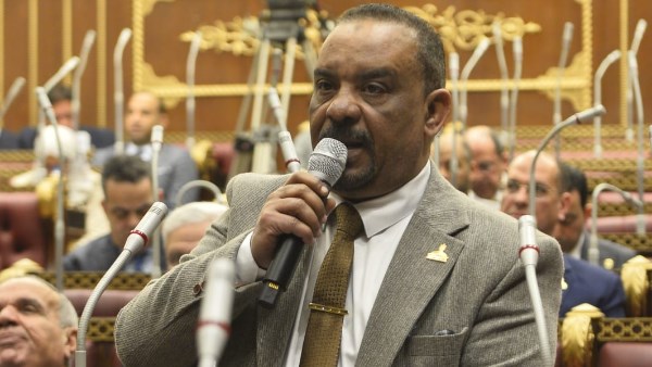 النائب أحمد حافظ