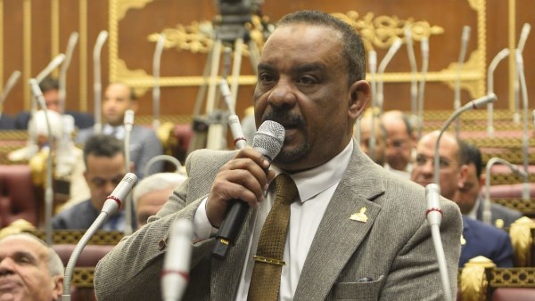 النائب أحمد حافظ