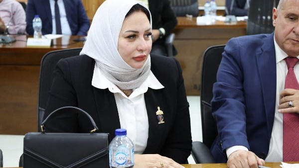 النائبة شيرين صبري 