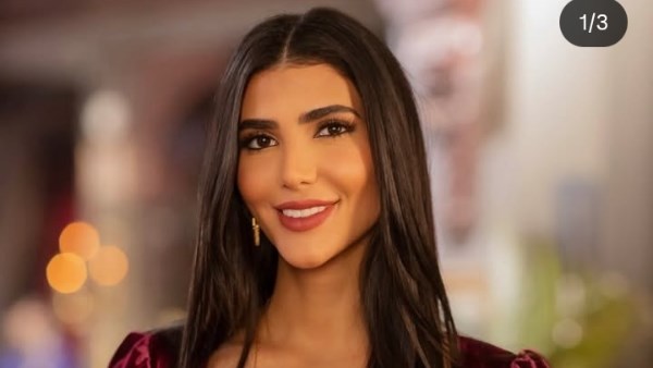 الفنانة ريم سامي