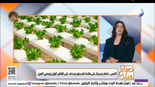 جانب من الحلقة