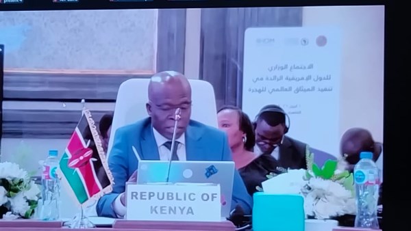 ممثل دولة كينيا 