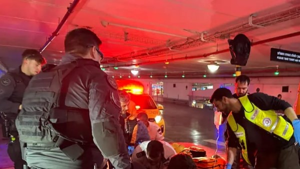 صورة من الحدث 