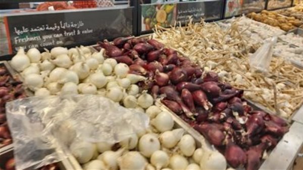 صادرات البصل والثوم المصري