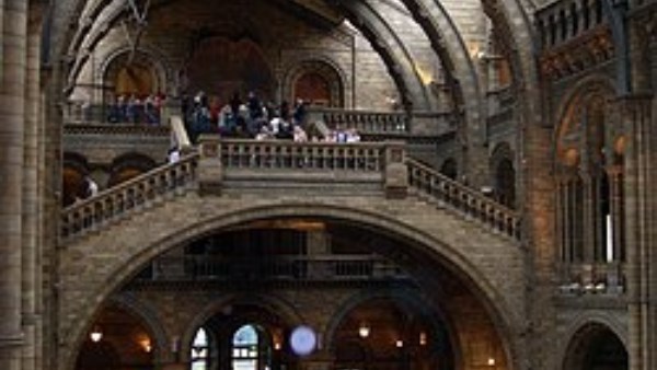 متحف التاريخ الطبيعي