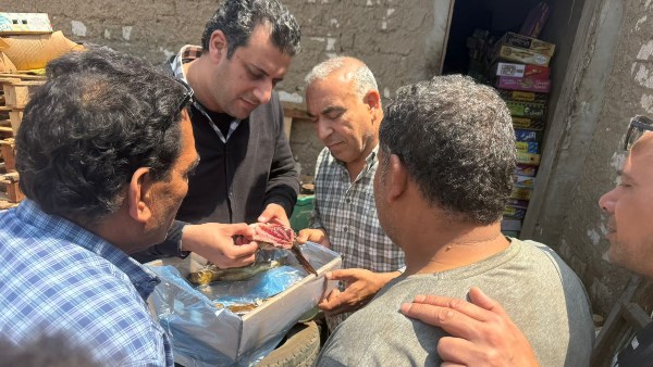 محافظ الغربية 