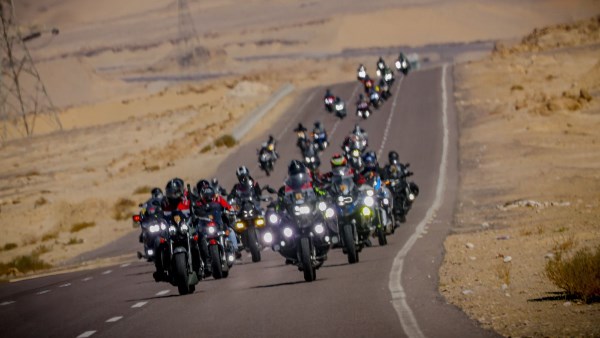 سيناء أمان 2026