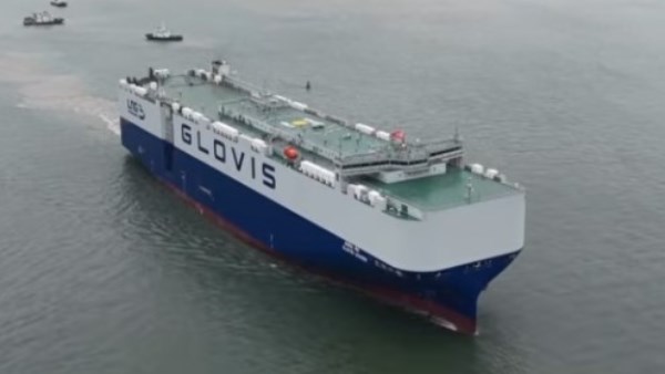 غلوفيس ليدر