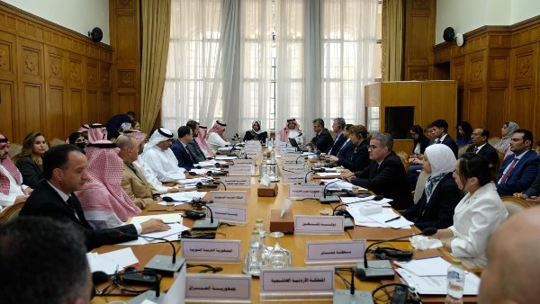 جانب من أعمال ورشة العمل 