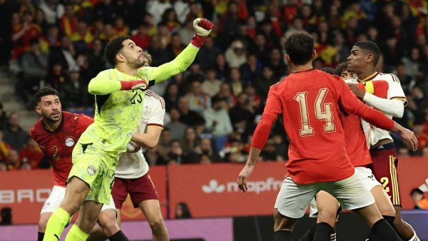 مصطفى شوبير 